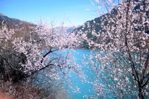 穿越千年来寻你